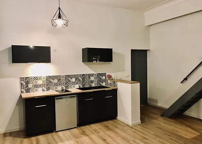 Apartmán Location Near Place Graslin, Elephant - Up To 4 People -